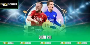 Châu Phi – Chuyên Mục Bóng Đá Toàn Diện Mới Nhất Tại 7MCN 8 Chuyên mục bóng đá Châu Phi trên 7MCN